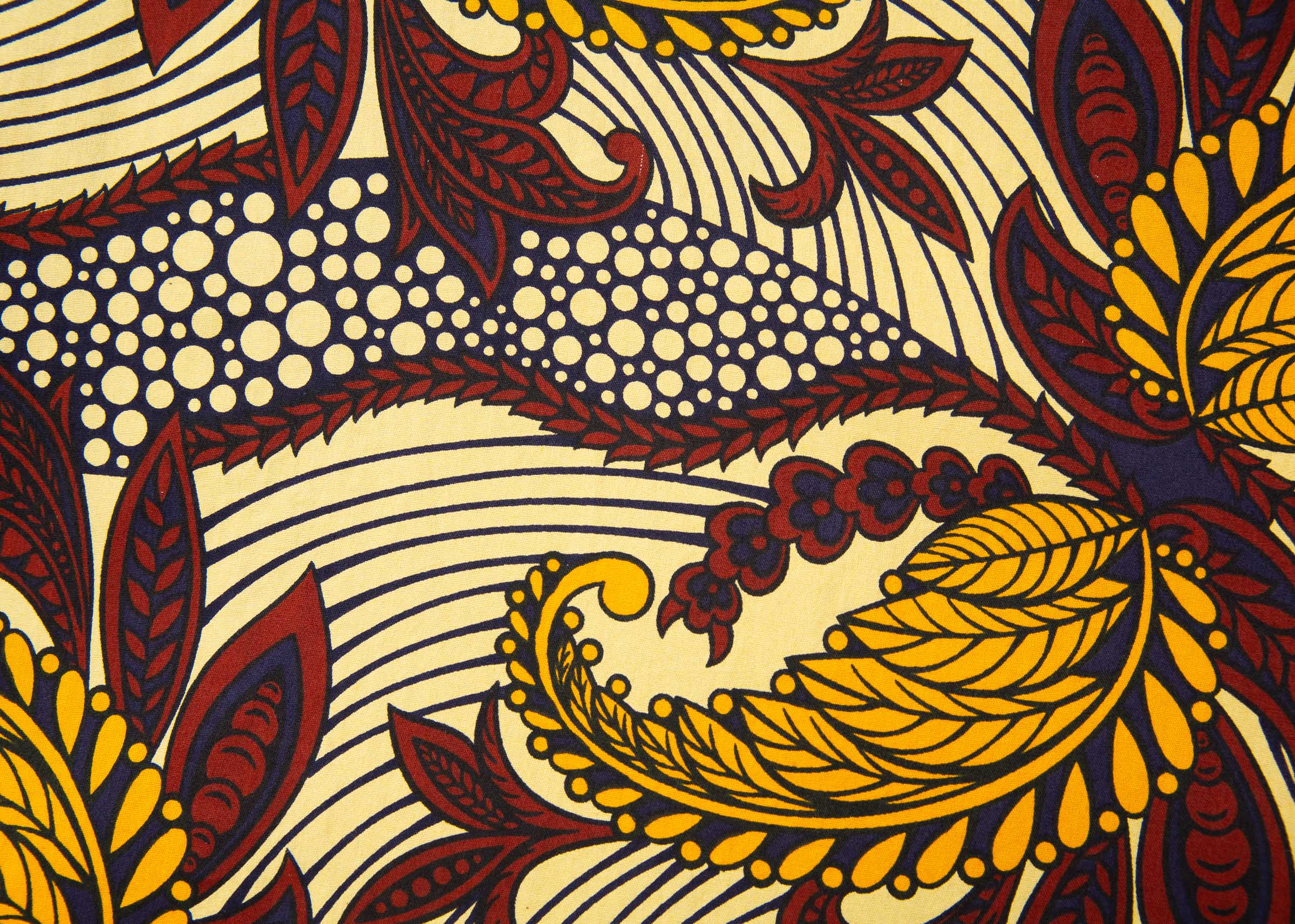 Acanthus - Image 4