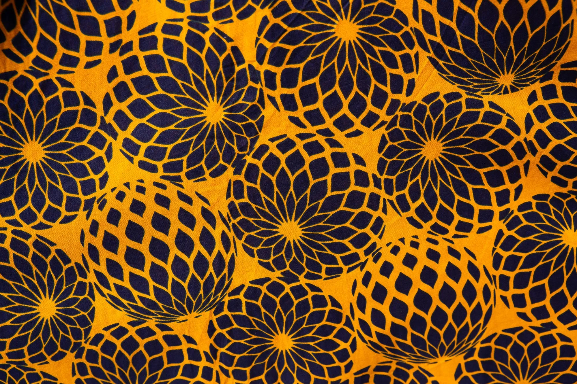 Blooming - Image 4