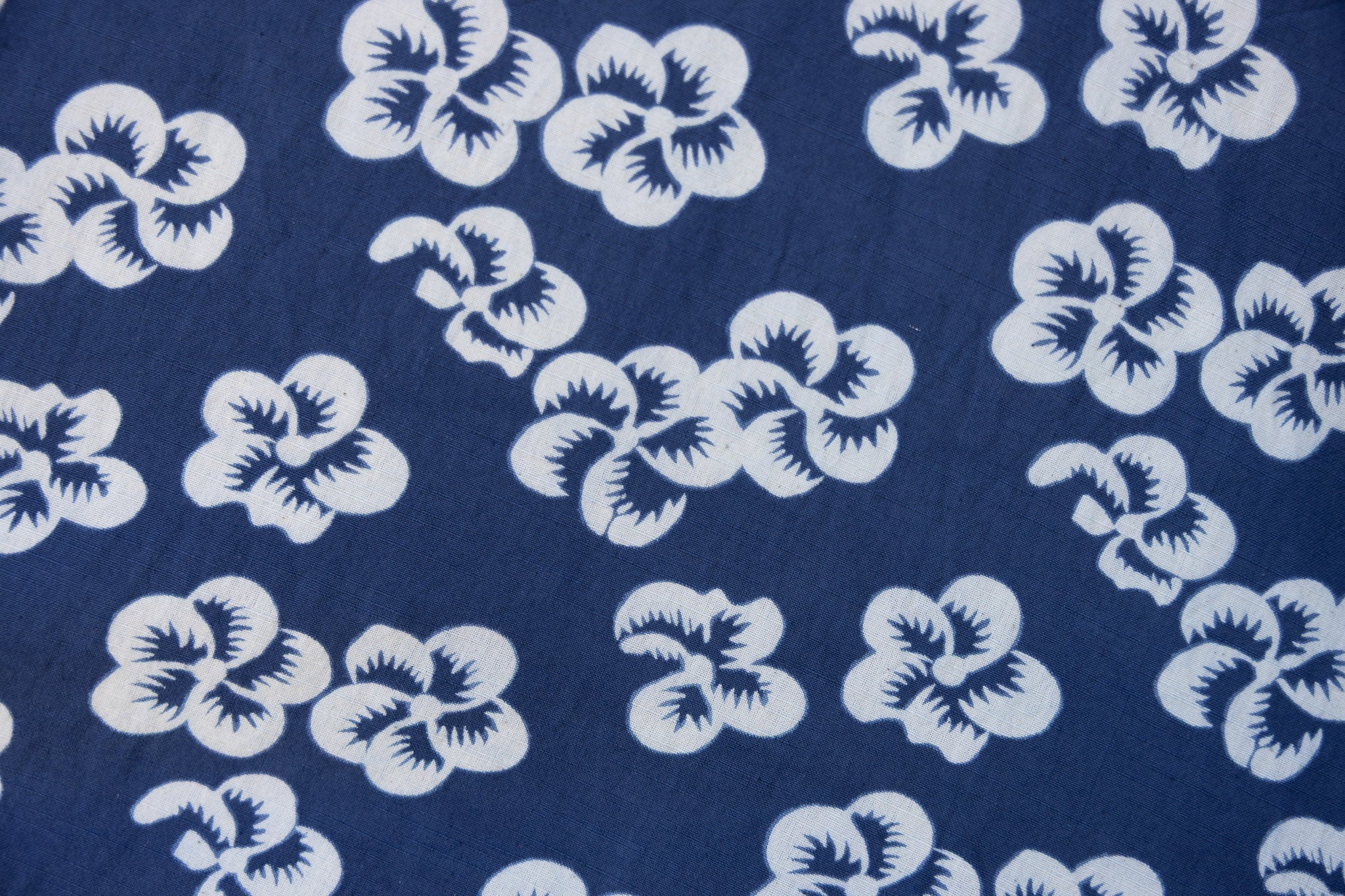 Borage - Image 3