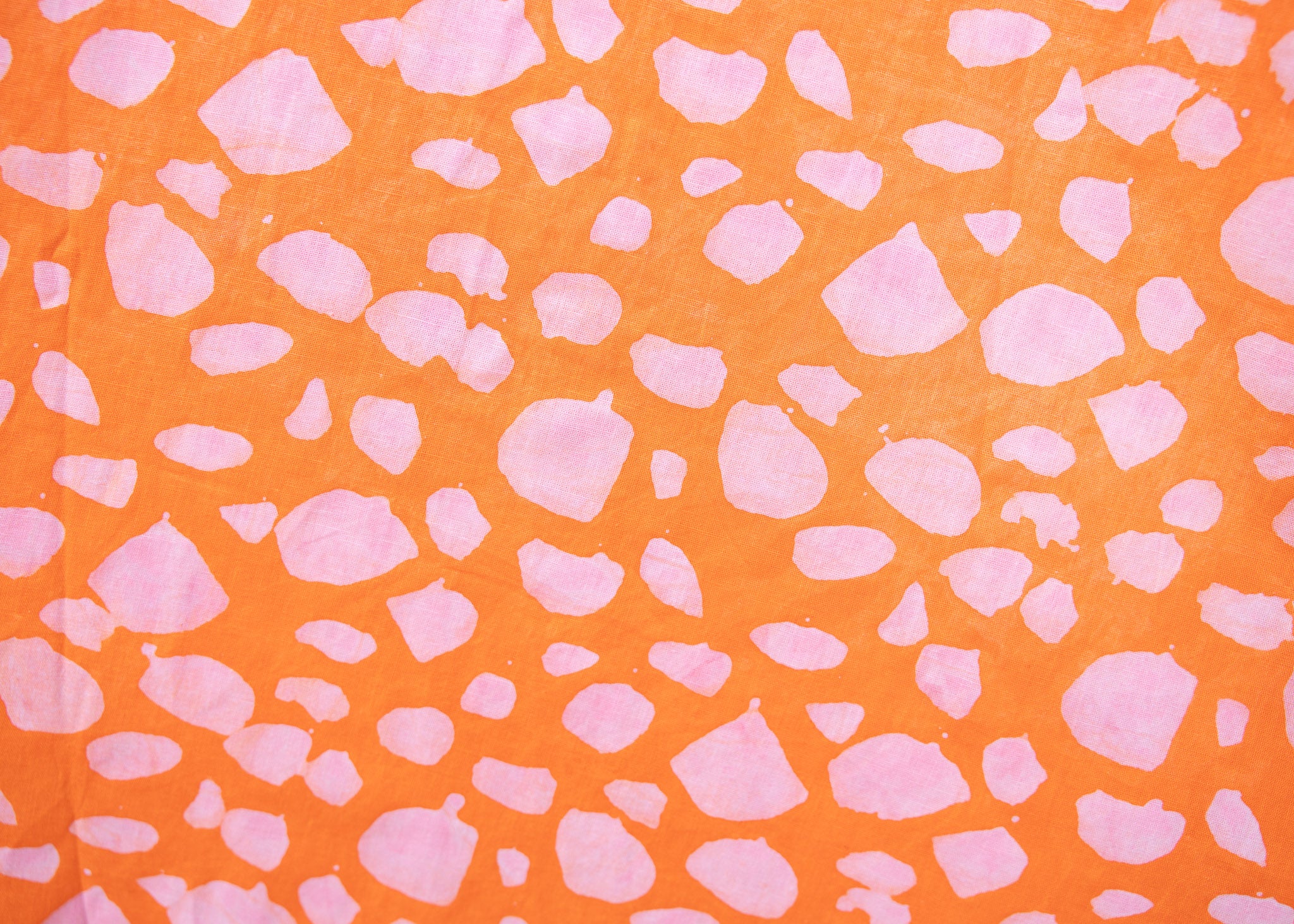 Creamsicle - Image 3