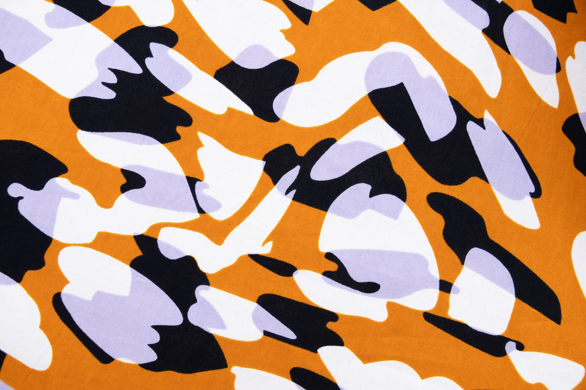 Dapple - Image 3