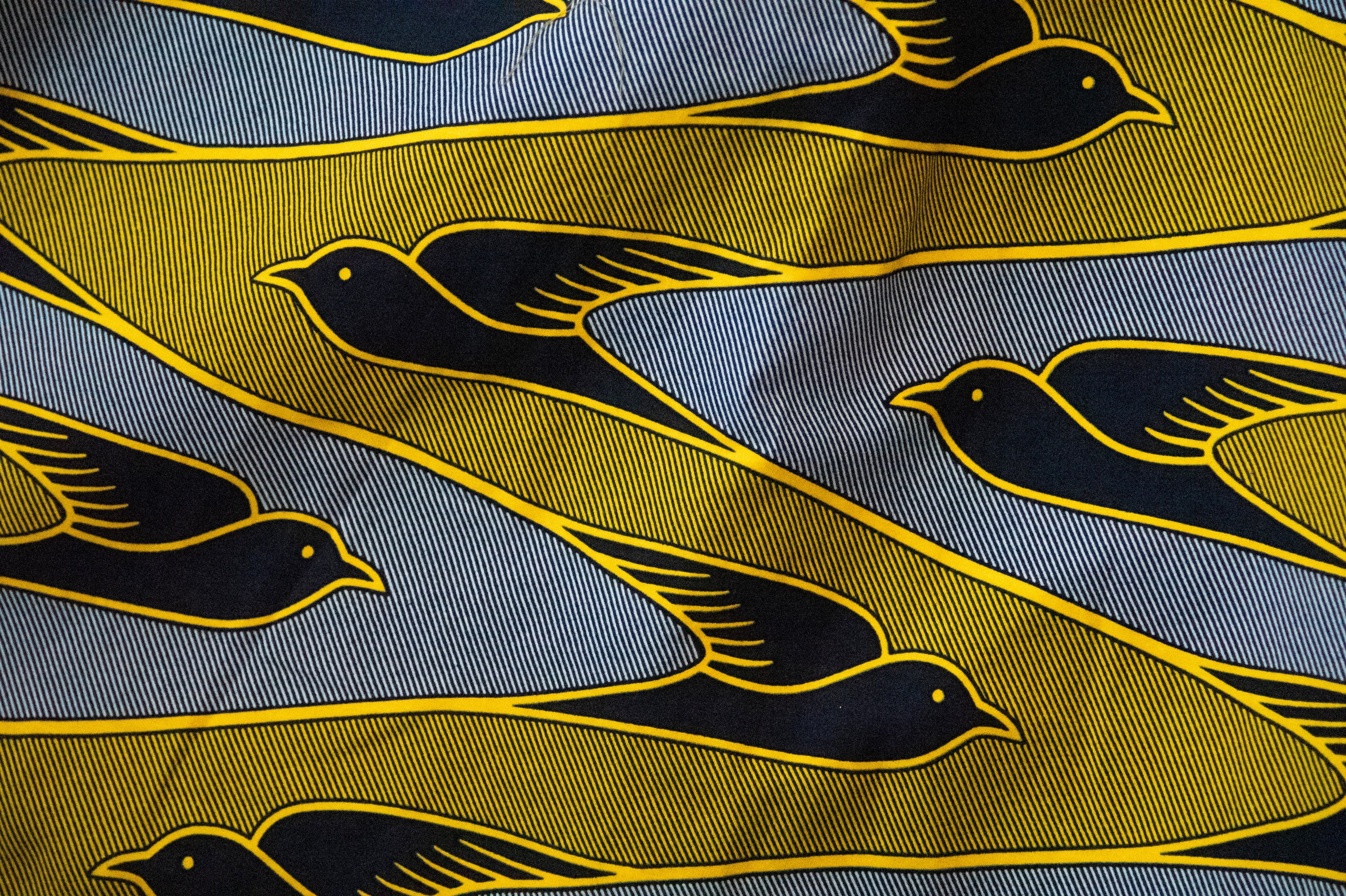 Dovetail Shirt - Image 4