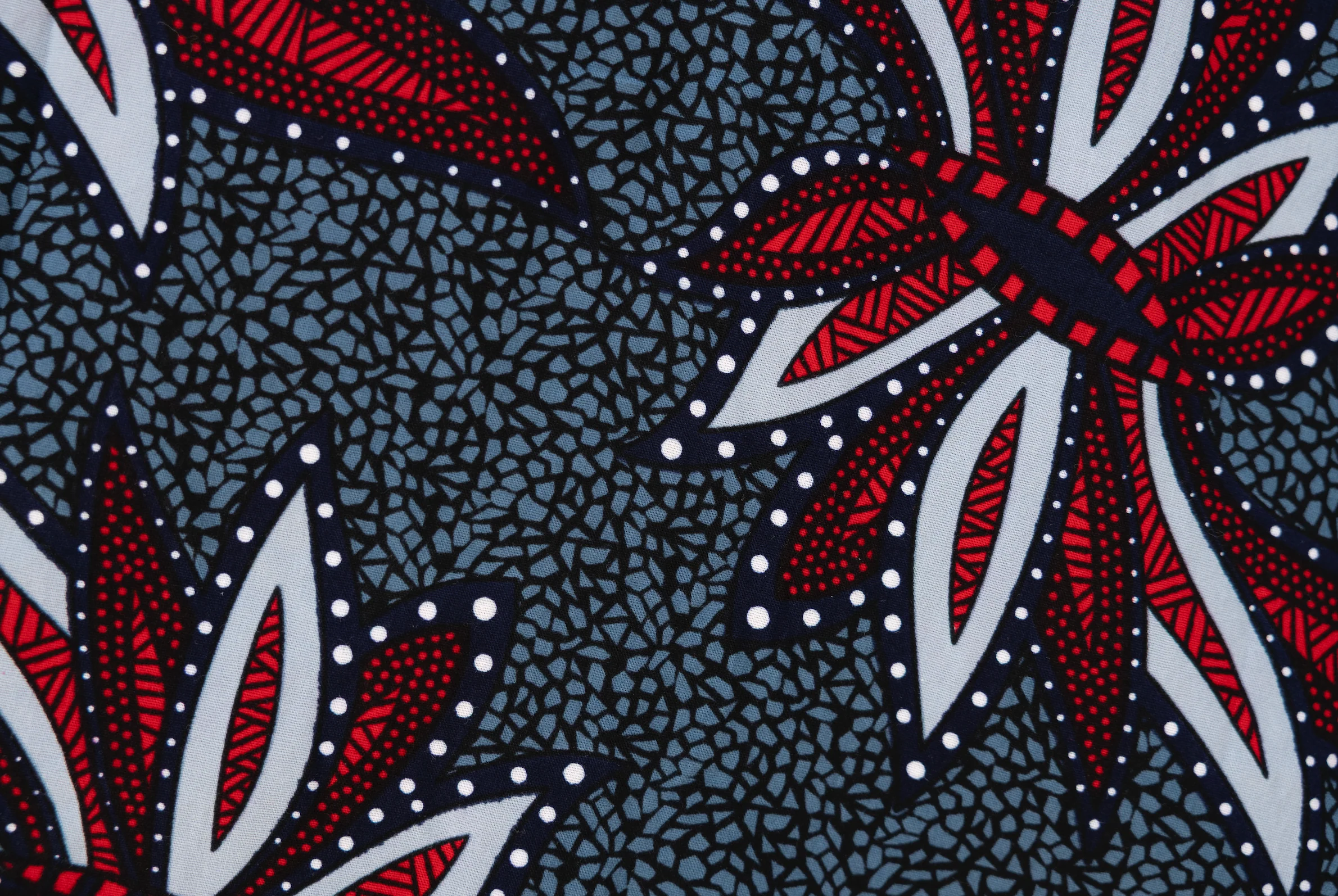 Dragonfly Maxi - Image 3