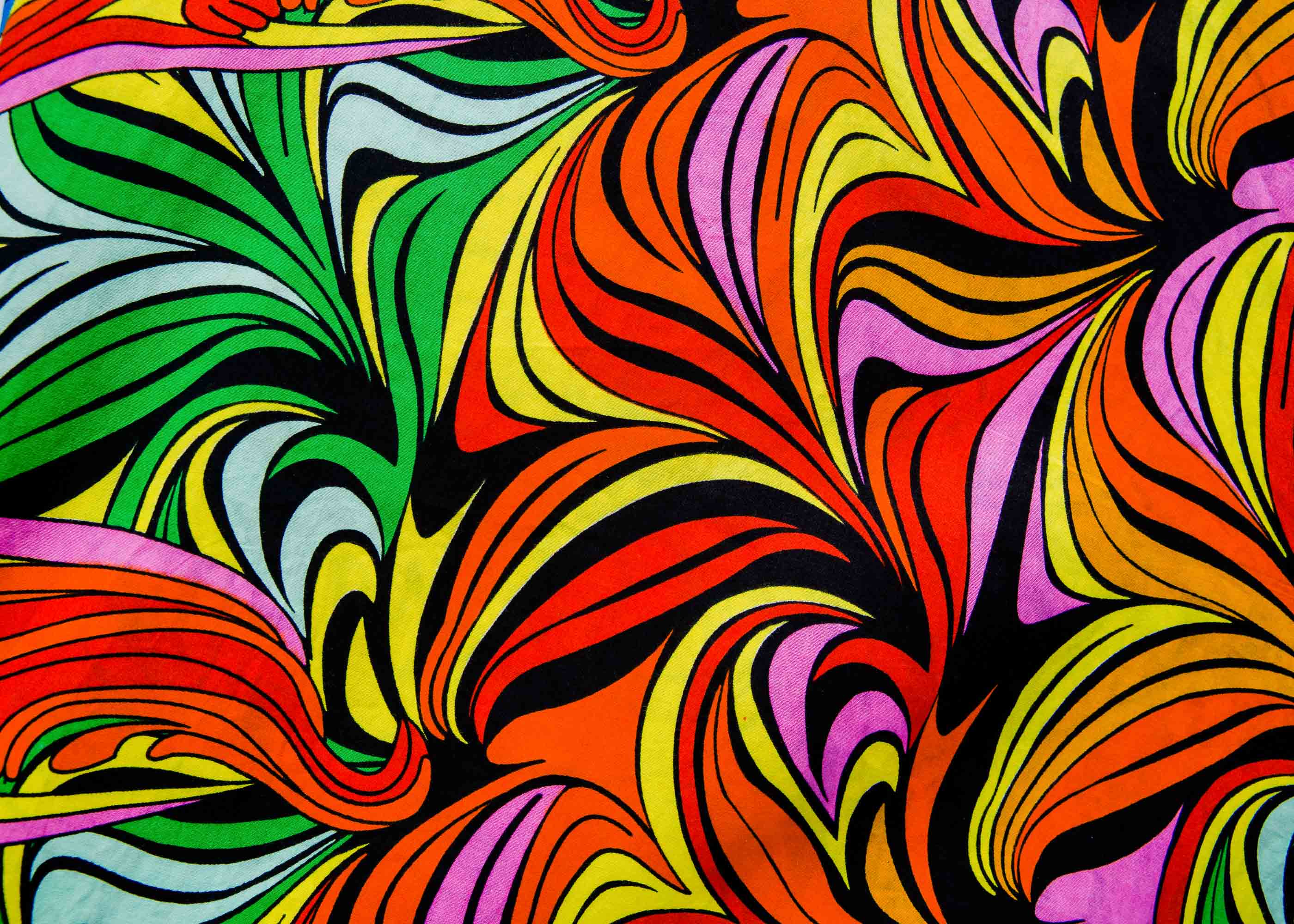 Fantasia - Image 4