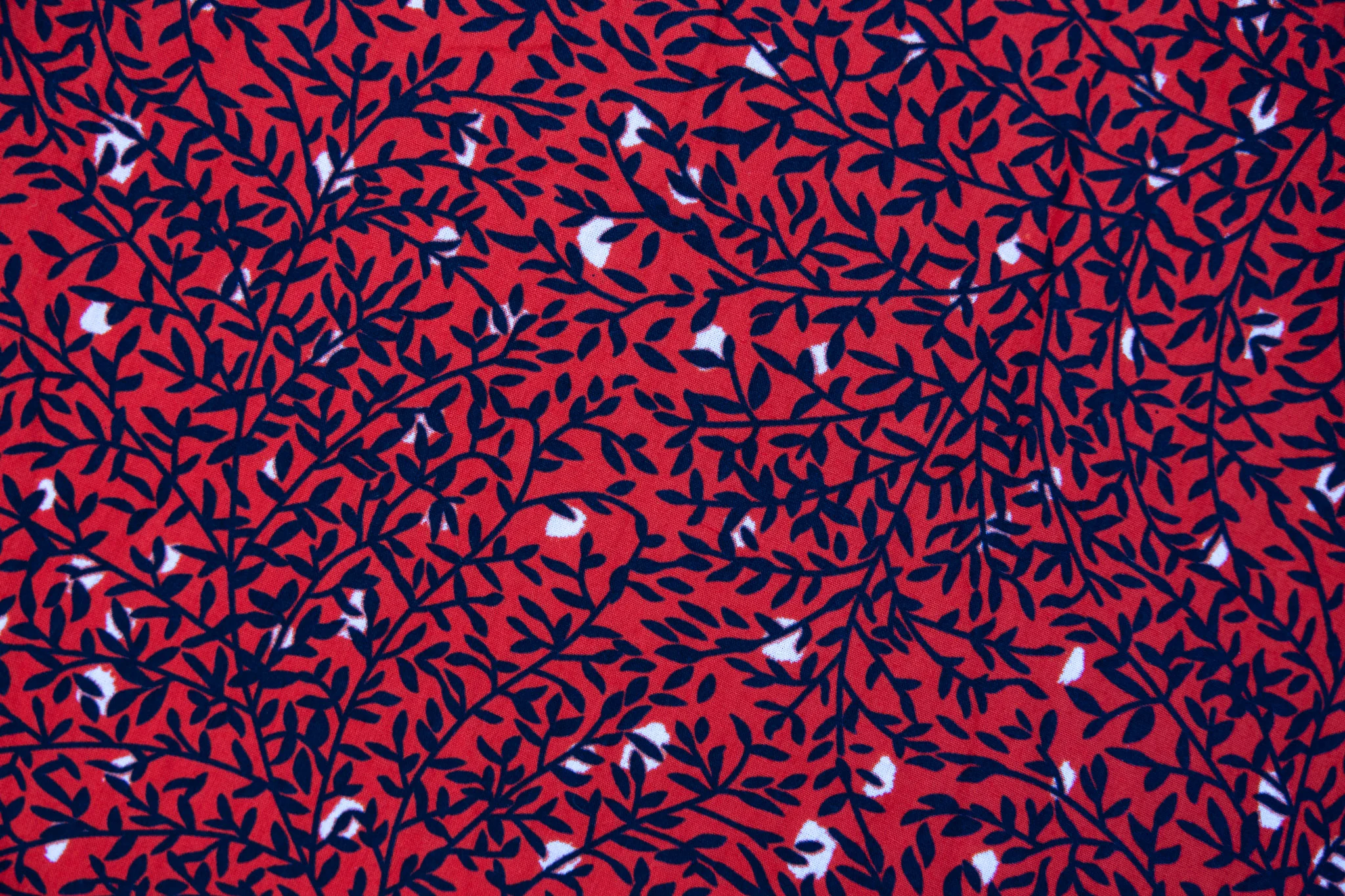 Gleam - Image 3