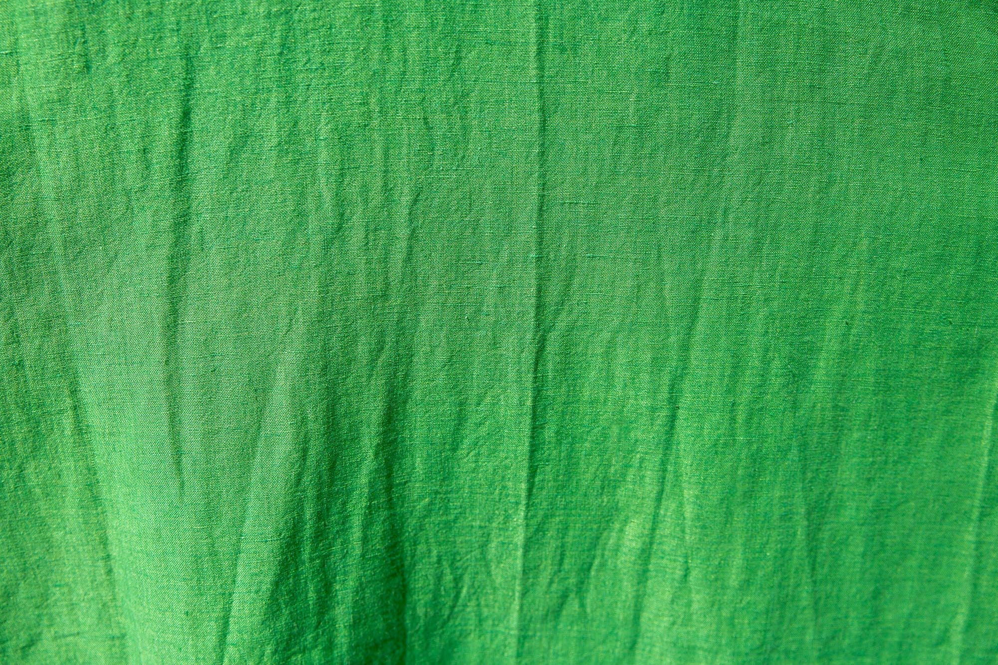 Lichen - Image 4