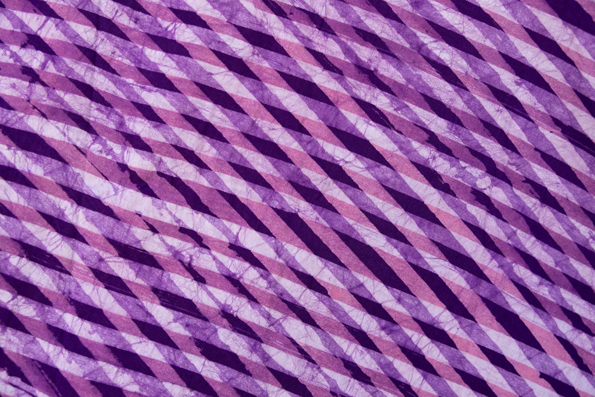 Lupine - Image 3