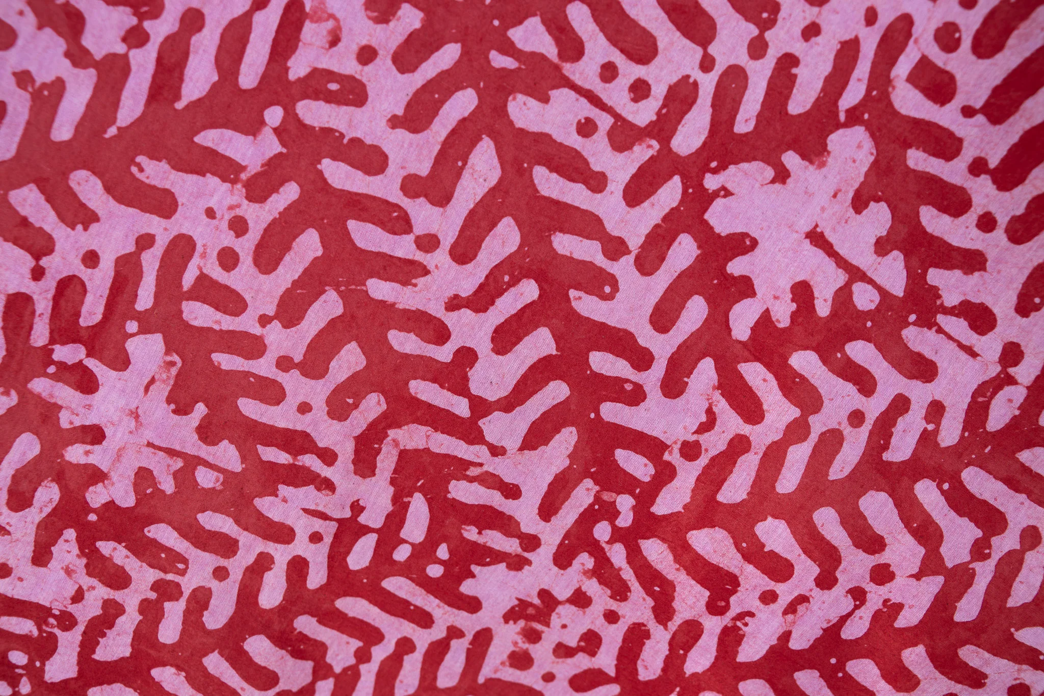 Maraschino - Image 3