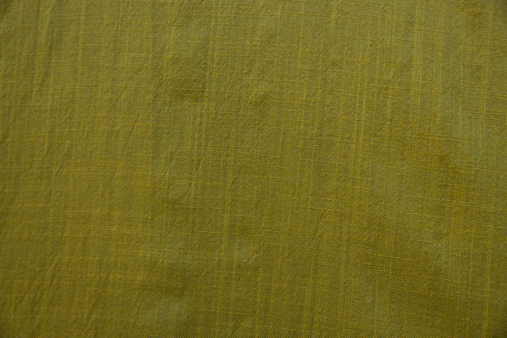 Moss - Image 3