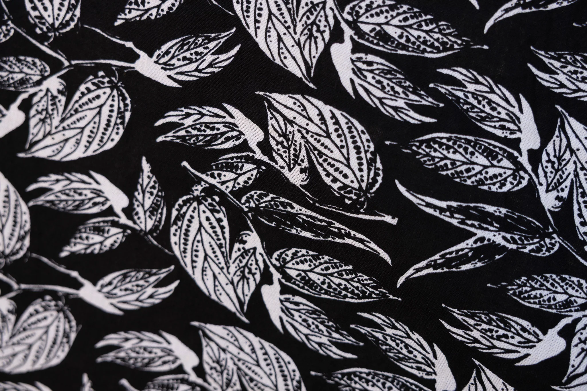 Nocturne - Image 3