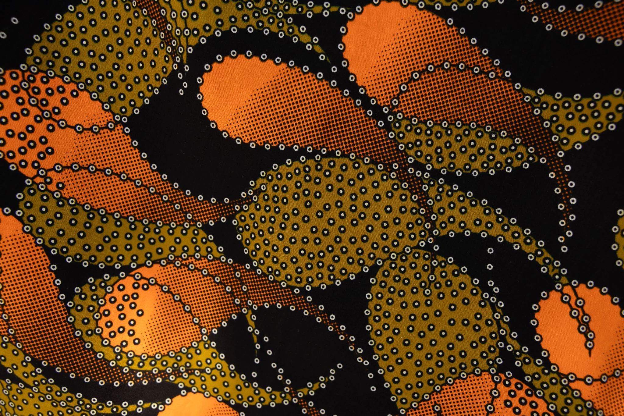 Nopal - Image 3