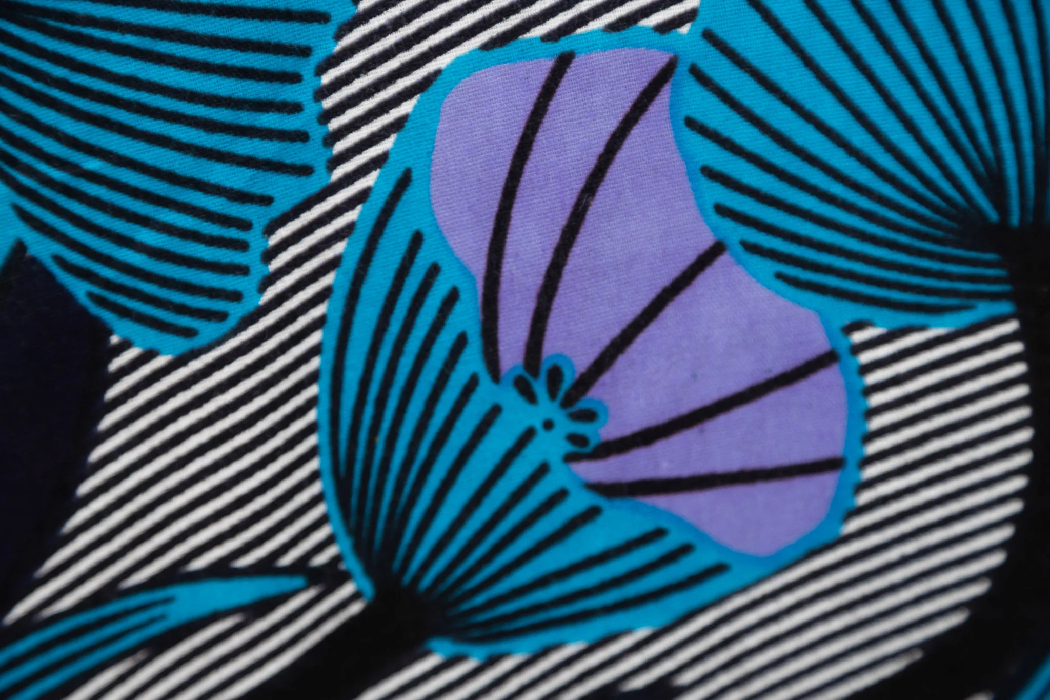 Nympheas - Image 3
