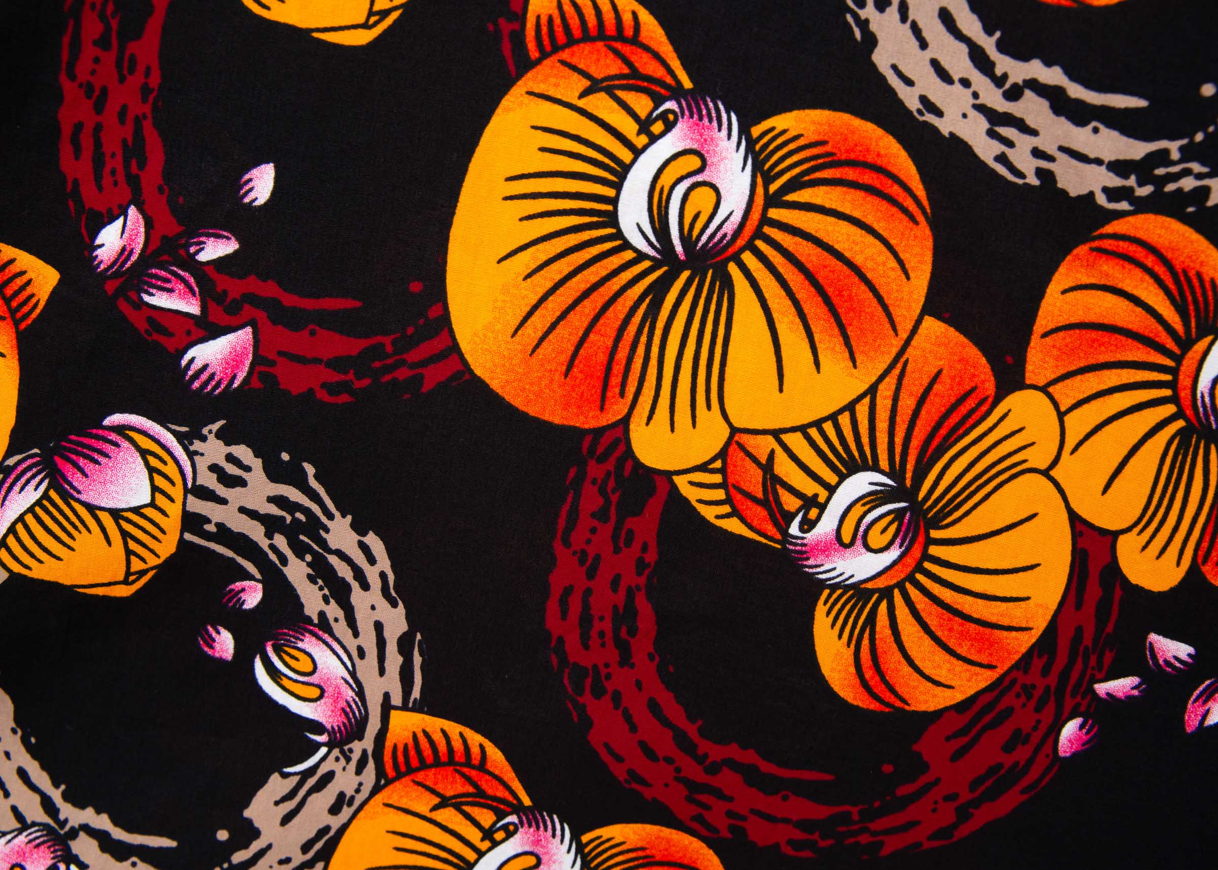Orchidea - Image 4