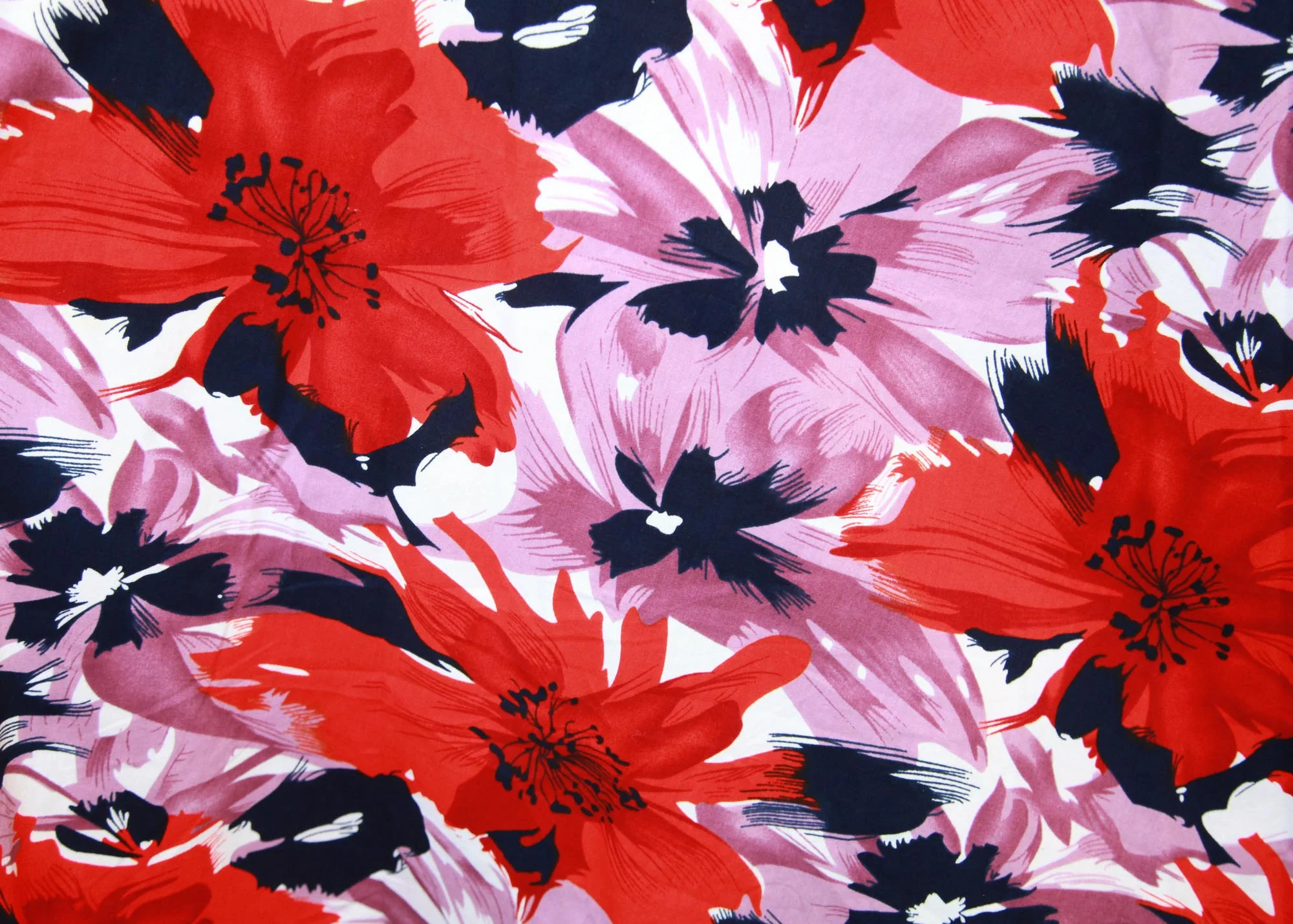 Perennial - Image 3