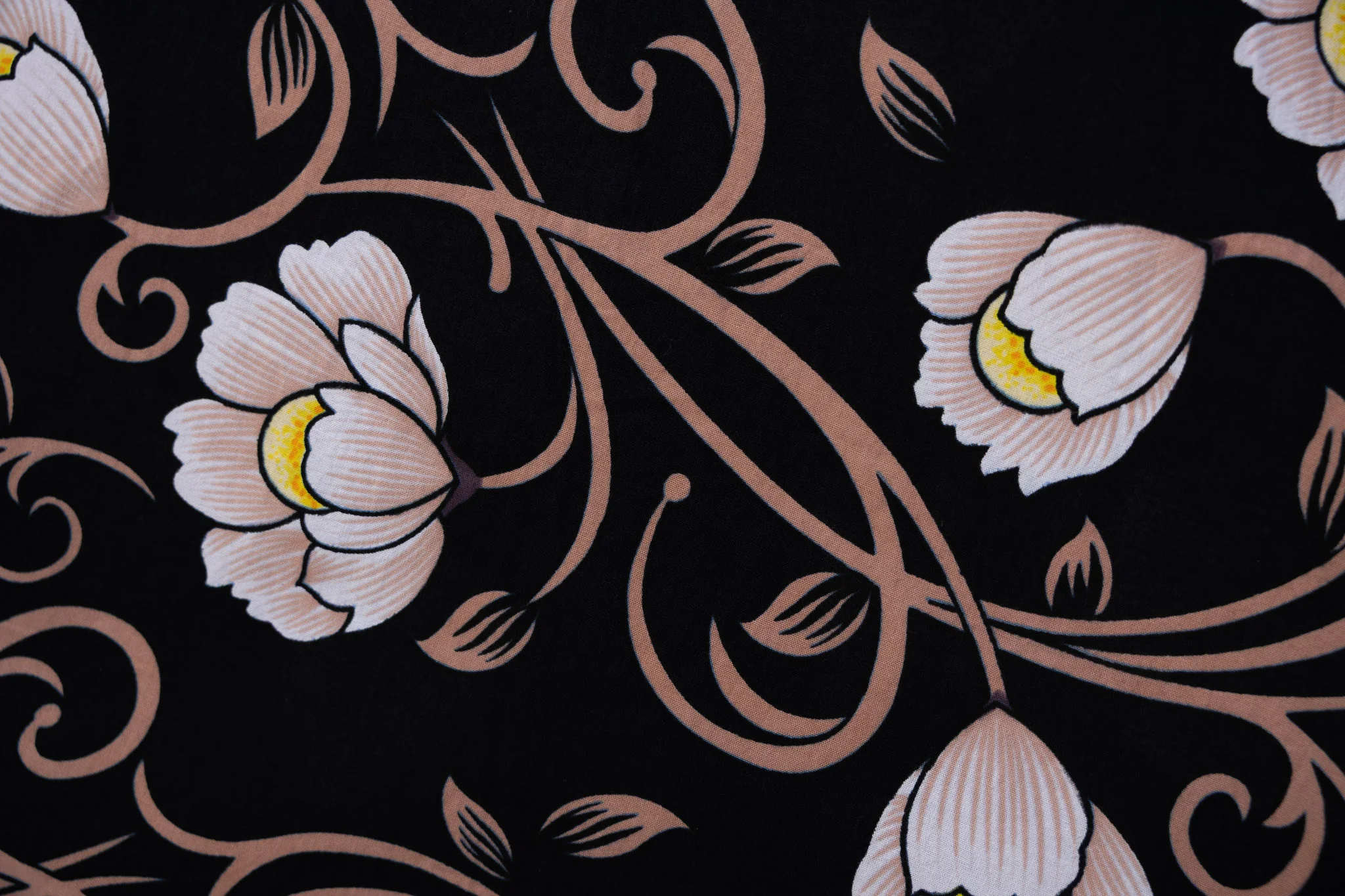 Pirouette - Image 3