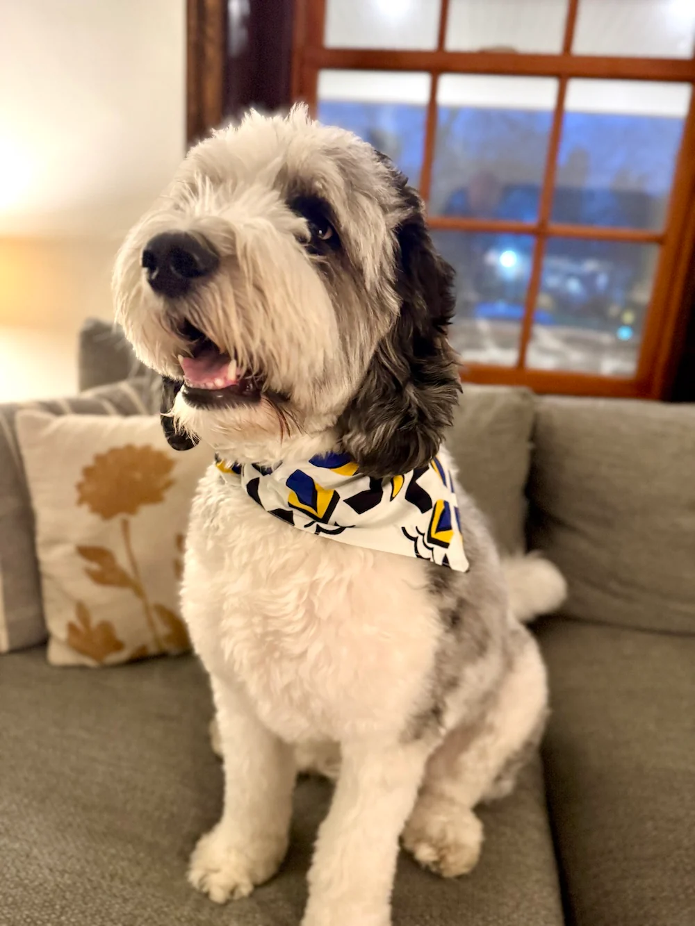 Provisions Cotton Dog Bandana - Image 3