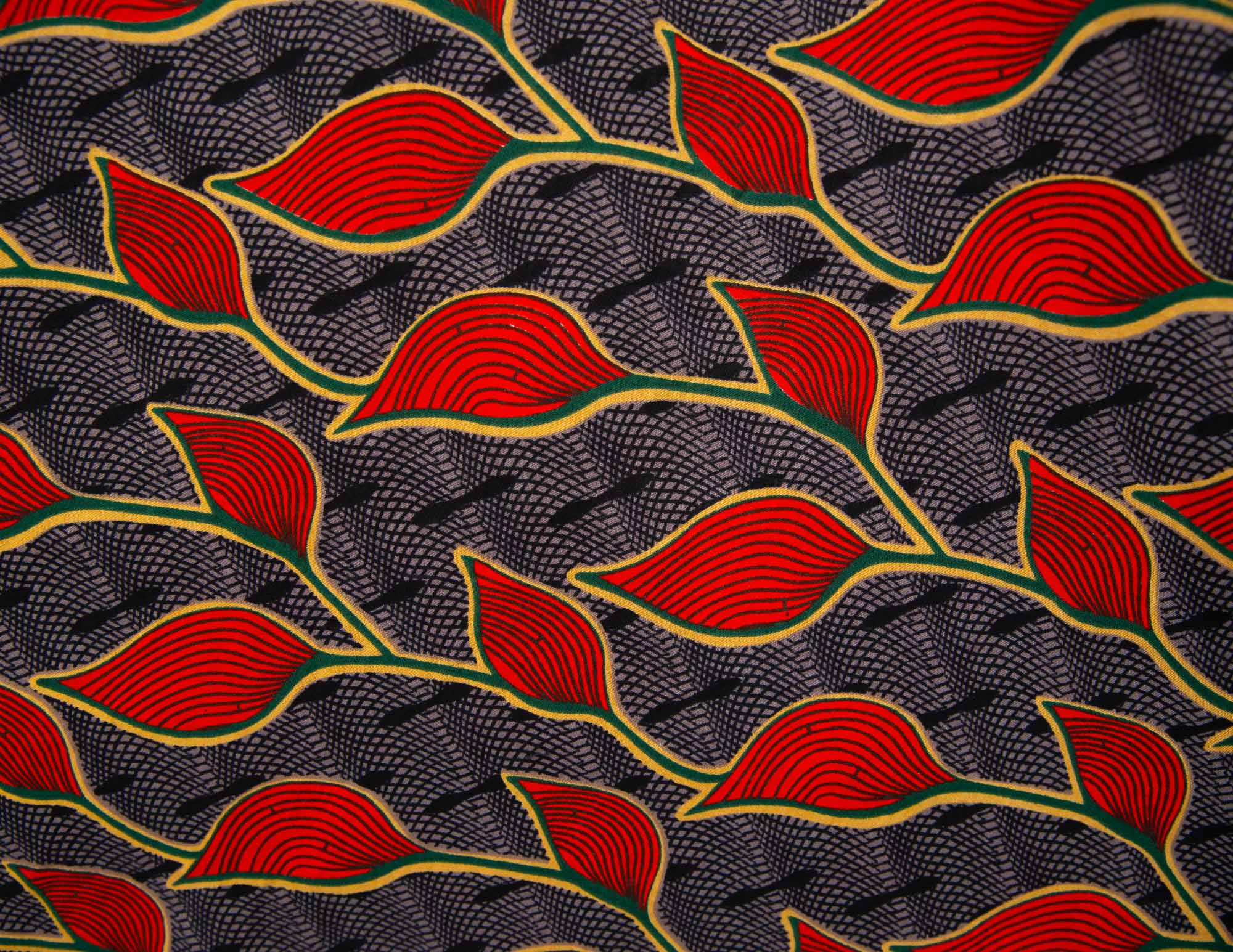 Rooibos - Image 4