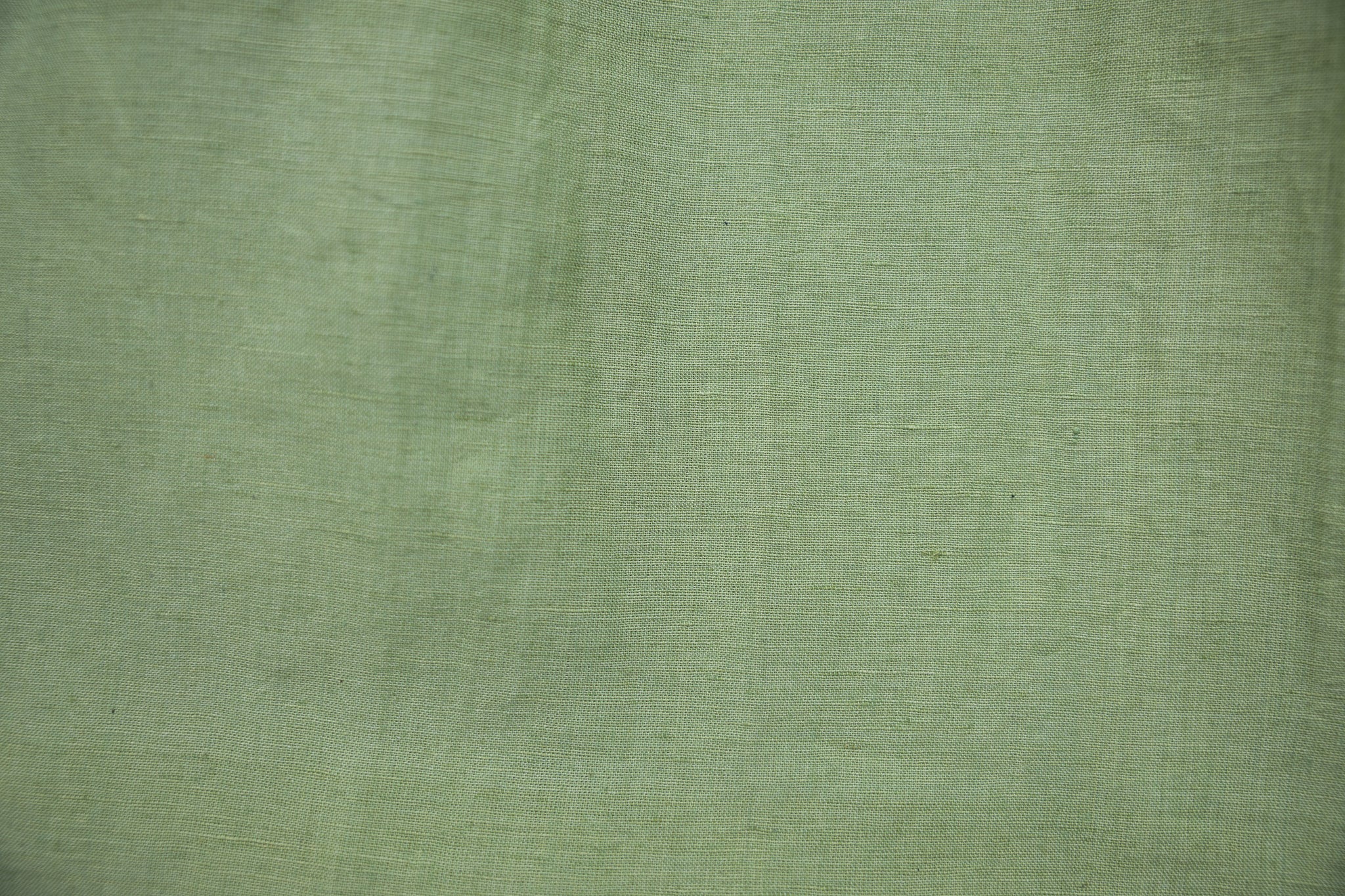 Shiso Shirt - Image 3