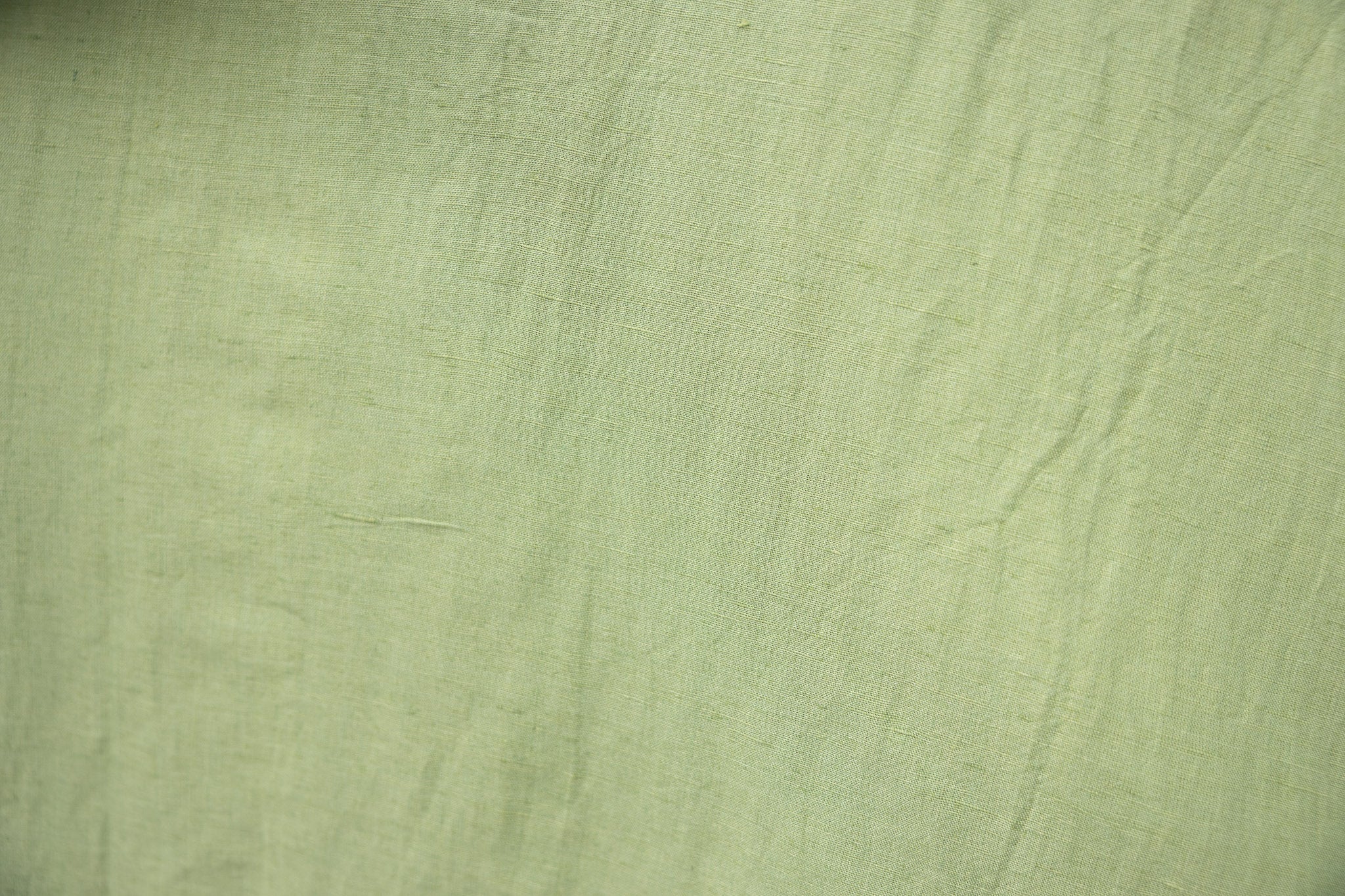 Shiso - Image 3