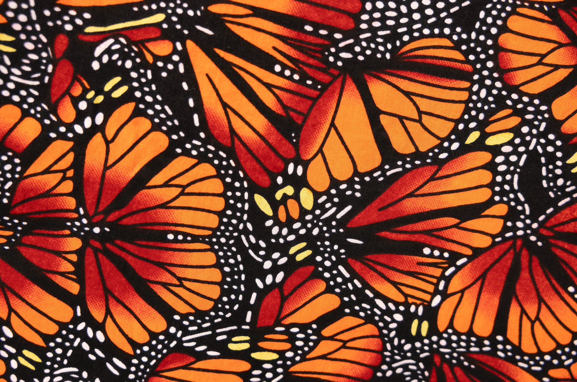 Social Butterflies - Image 3