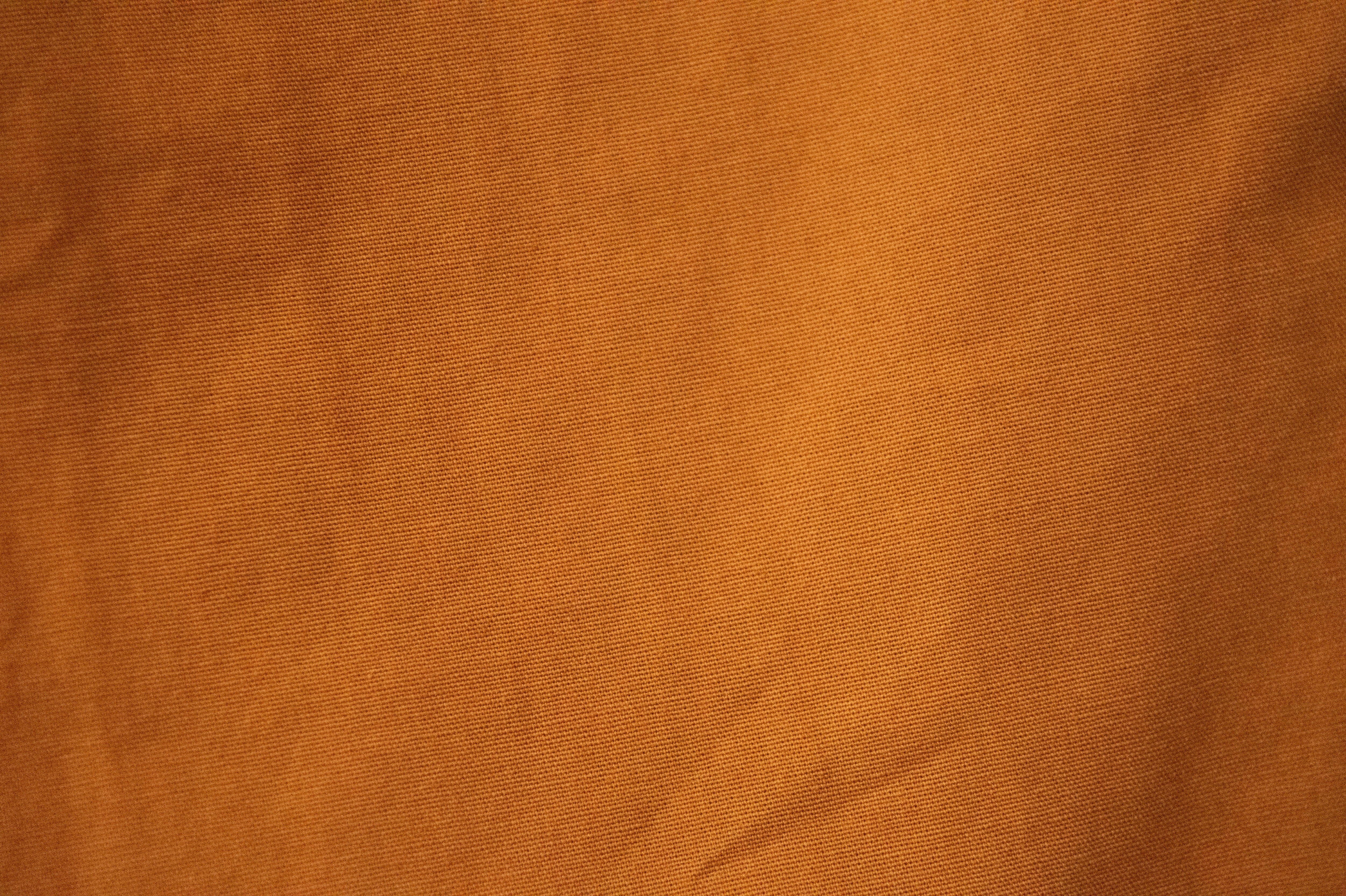 Solid Pant - Image 13