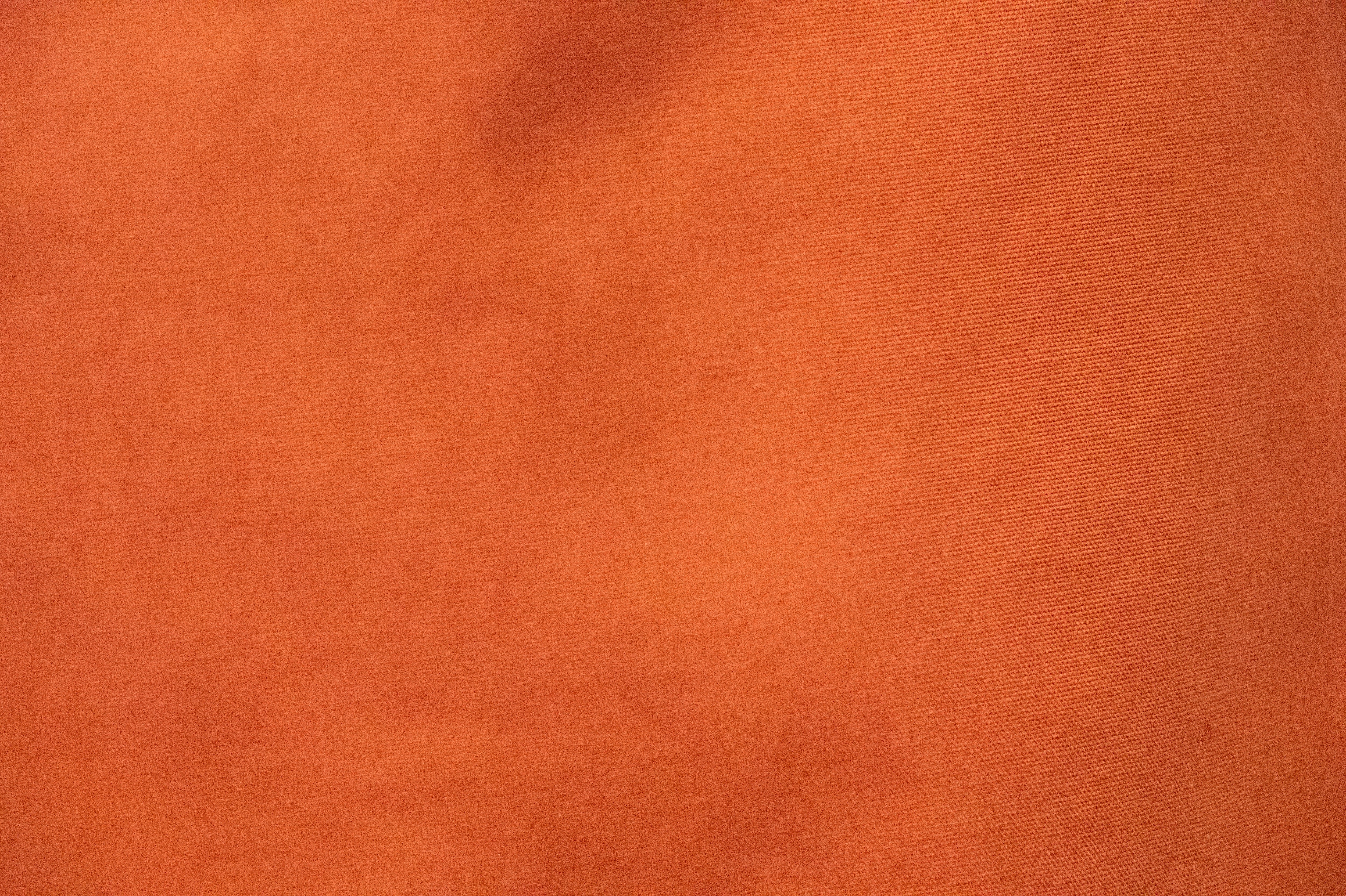 Solid Pant - Image 19
