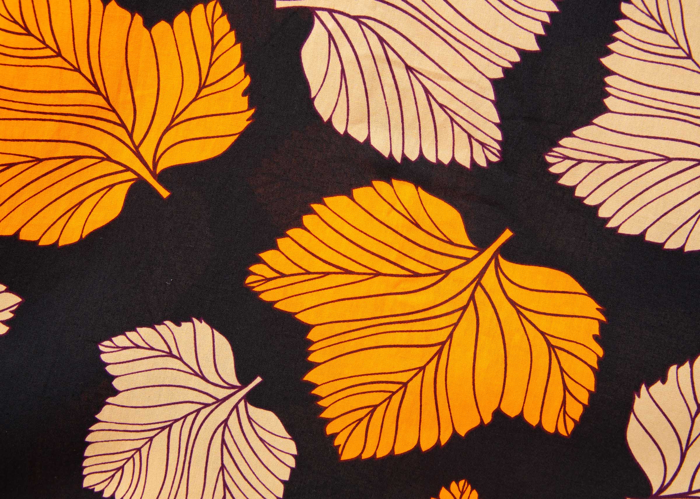 Sycamore - Image 4