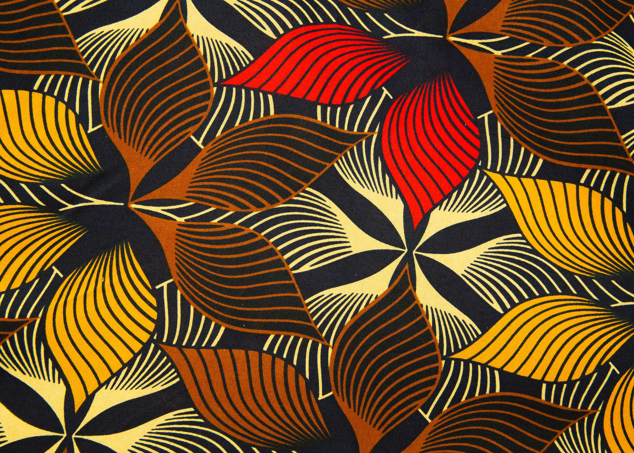 Twirl - Image 5
