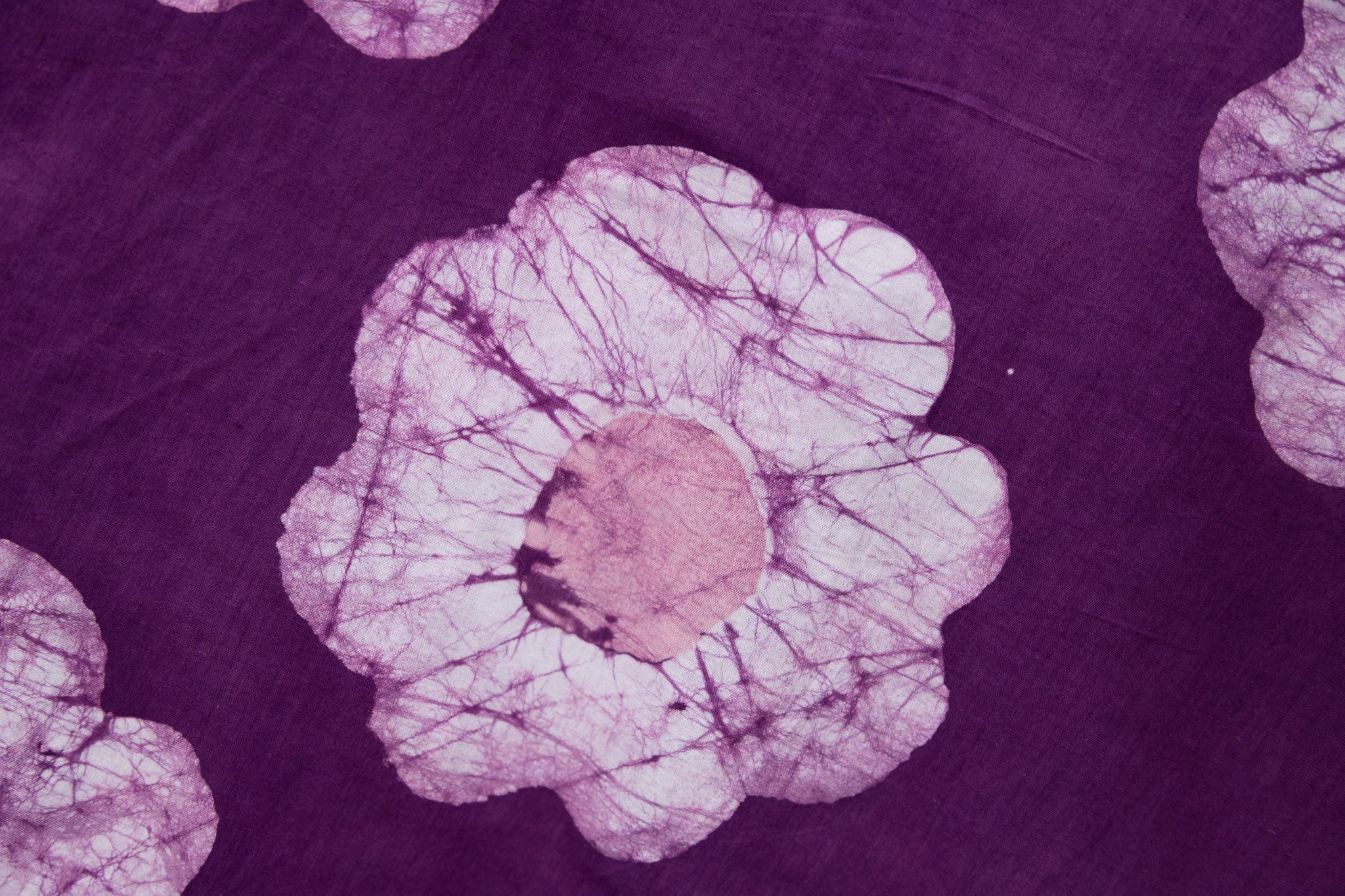 Violet - Image 3